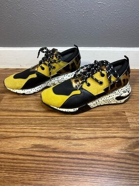 platform sneakers steve madden leopard wedge sneakers